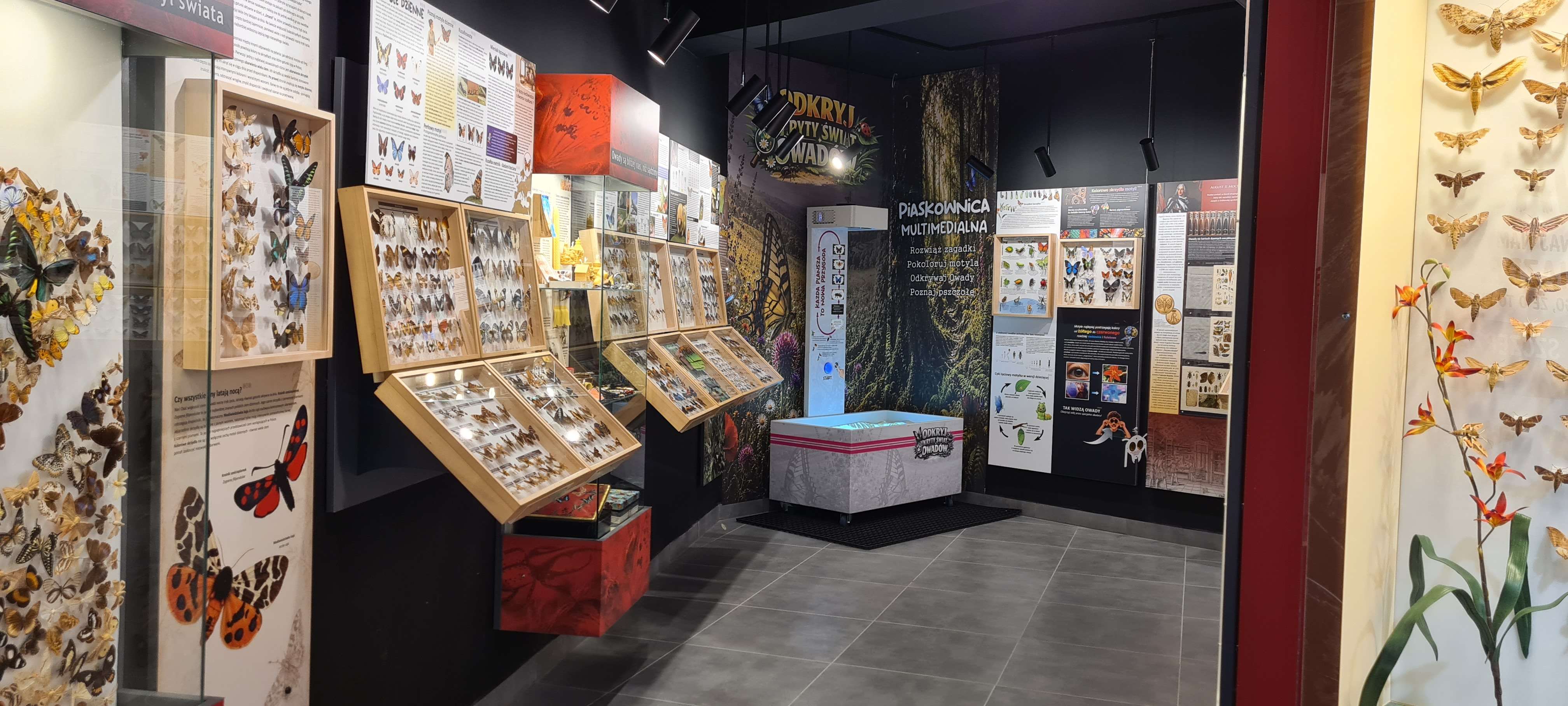 Muzeum Motyli we Władysławowie - Więcej